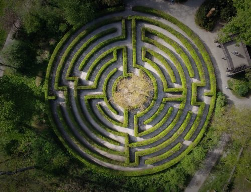 Intuition als Kraftfeld in der Führung